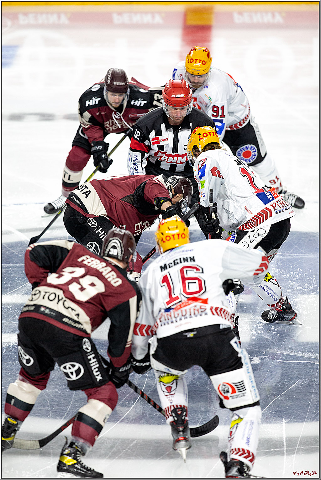 PENNY DEL;  Koelner Haie - Fischtown Pinguins Bremerhaven; Koeln, 12.02.2021